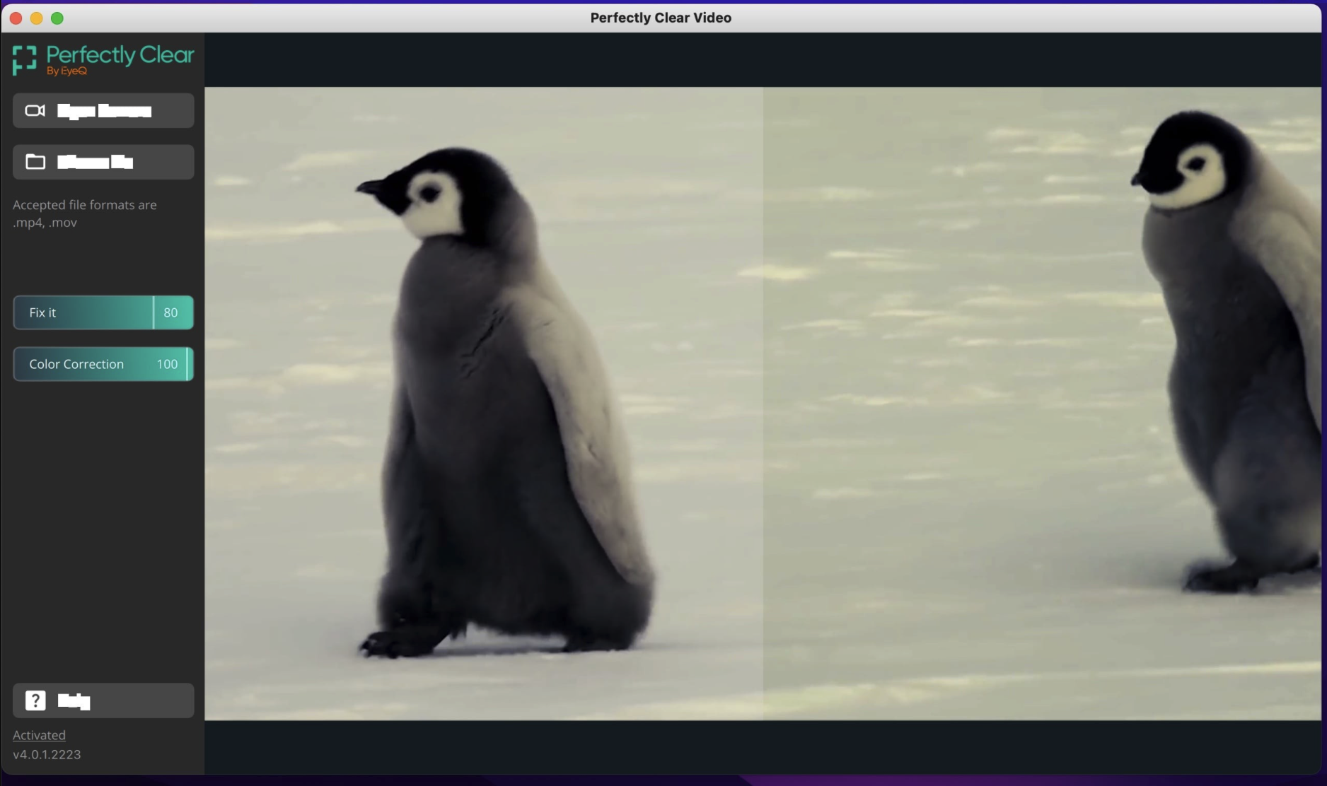 Perfectly Clear Video for Mac v4.6.0.2638 AI视频增强工具 激活版-1