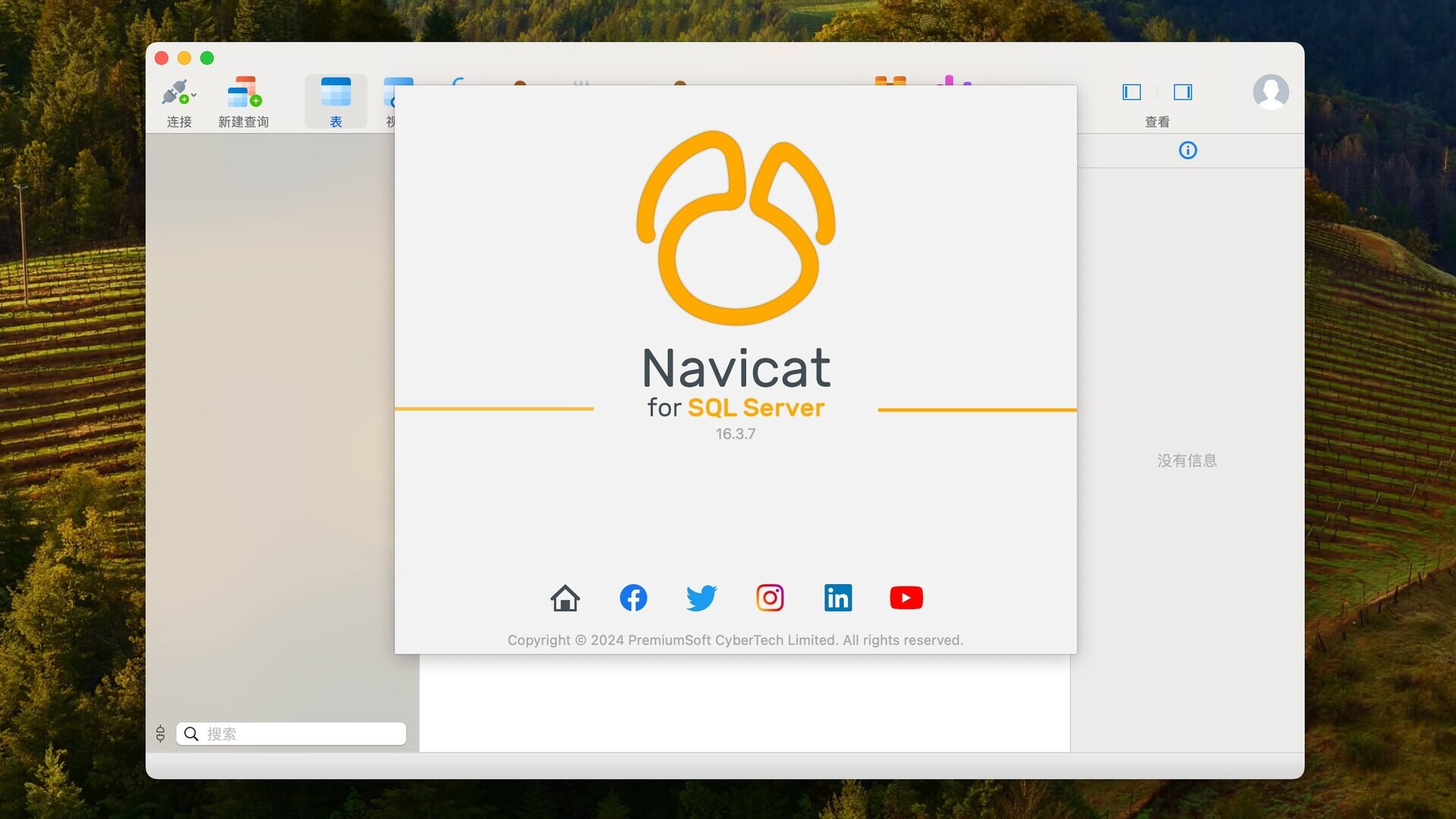 Navicat for SQL Server for Mac v16.3.7 数据库管理工具 激活版-1