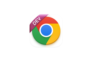 Google Chrome Dev for Mac v128.0.6555.2 谷歌浏览器 中文开发版 激活版