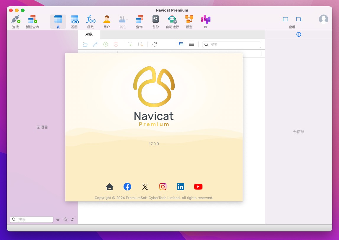 Navicat Premium for Mac v17.0.9 数据库管理软件 免激活下载-1