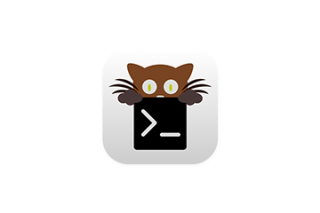 kitty for Mac v0.35.2 终端程序 激活版