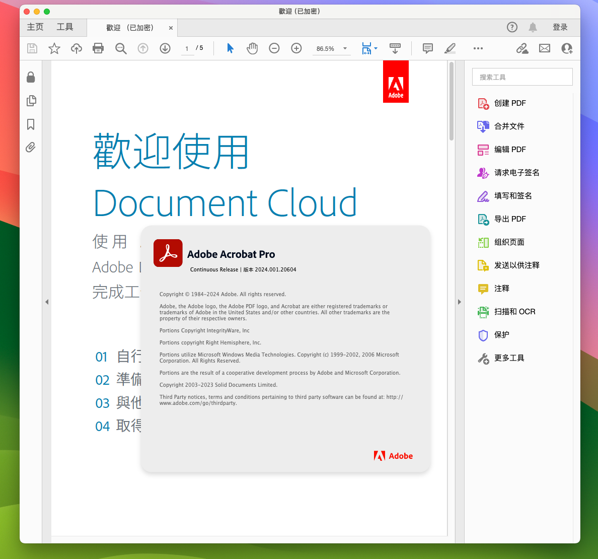 Adobe Acrobat Pro DC for Mac v24.001.20604 领先的PDF编辑转换器 免激活下载-1