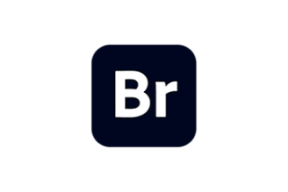 Adobe Bridge 2025 for Mac v15.0.0 Br数字资产管理软件 激活版