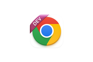 Google Chrome Dev for Mac v139.0.7232.3 谷歌浏览器 中文开发版 激活版