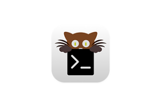 kitty for Mac v0.42.1 终端程序 激活版