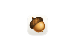 Acorn for Mac v8.5.1 轻量图片处理 激活版