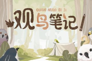 观鸟笔记 Birdwatching Notebook for Mac v1.1 中文版