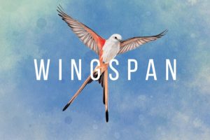 展翅翱翔 Wingspan for Mac v269 中文版